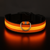 GlowPaw™ | Make Your Pet’s Night Walks Brighter & Safer