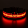 GlowPaw™ | Make Your Pet’s Night Walks Brighter & Safer