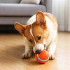WoefBall Pro™ | Playtime That Never Quits
